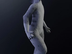 natasha evans 3D Model