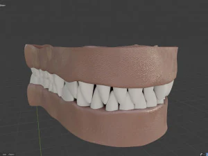 natasha evans 3D Model