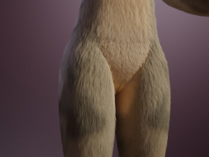 nicolle waterson anthro lioness Modello 3D