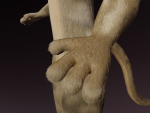 nicolle waterson anthro lioness Modello 3D