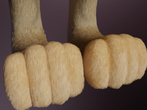 nicolle waterson anthro lioness Modello 3D