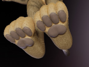 nicolle waterson anthro lioness Modello 3D