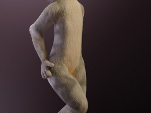 nicolle waterson anthro lioness Modello 3D