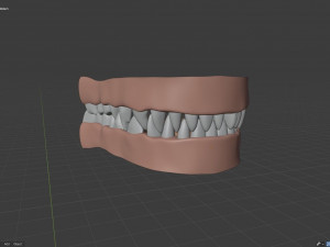 nicolle waterson anthro lioness Modello 3D