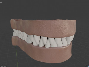 nicolle waterson anthro lioness Modello 3D