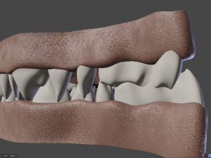 nicolle waterson anthro lioness Modello 3D