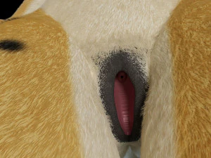 keller di giada Modello 3D