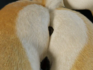 keller di giada Modello 3D