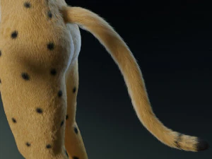 keller di giada Modello 3D