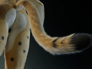 keller di giada Modello 3D