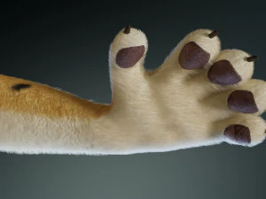 keller di giada Modello 3D