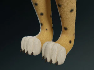 keller di giada Modello 3D