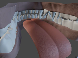 keller di giada Modello 3D