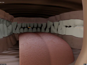 keller di giada Modello 3D