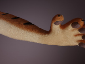 morgana sanchez anthro tigress Modèle 3D