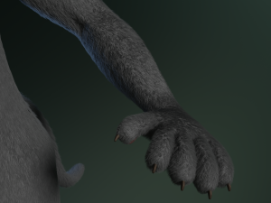 tasha courtney panther anthro Modèle 3D