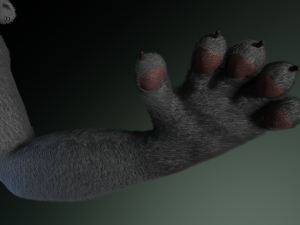 tasha courtney panther anthro Modèle 3D