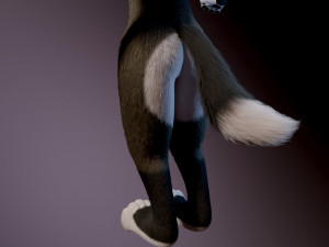 amethysta wolf anthro Modelo 3D