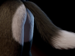 amethysta wolf anthro Modelo 3D
