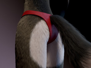 amethysta wolf anthro Modelo 3D