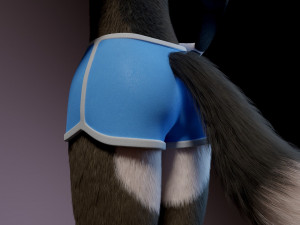 amethysta wolf anthro Modelo 3D