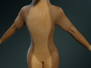 cassandra anthro wolf Modèle 3D