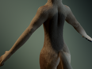 cassandra anthro wolf Modèle 3D