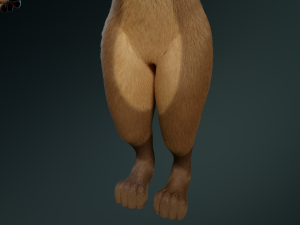 cassandra anthro wolf Modèle 3D