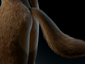 cassandra anthro wolf Modèle 3D