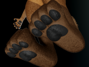 cassandra anthro wolf Modèle 3D