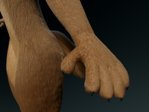 cassandra anthro wolf Modèle 3D