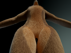 cassandra anthro wolf Modèle 3D