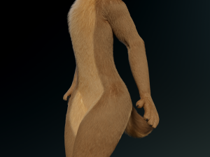 cassandra anthro wolf Modèle 3D