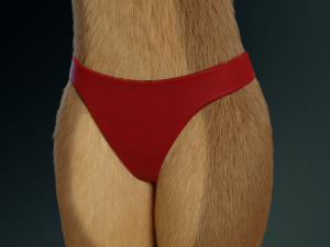 cassandra anthro wolf Modèle 3D