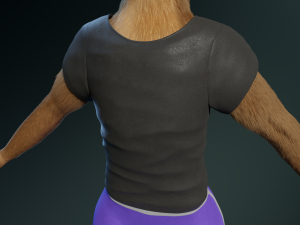 cassandra anthro wolf Modèle 3D