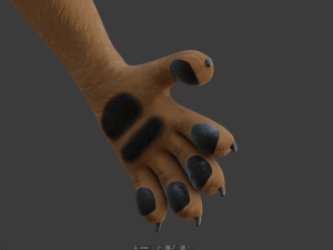cassandra anthro wolf Modèle 3D