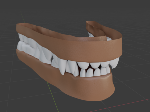 cassandra anthro wolf Modèle 3D