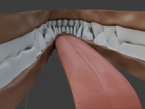 cassandra anthro wolf Modèle 3D