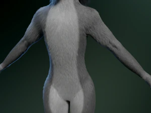 Helene antropolupo Modello 3D