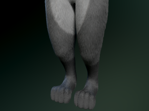 helene anthro wolf Modelo 3D