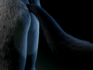 helene anthro wolf Modelo 3D