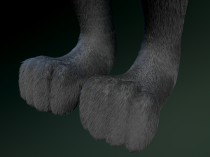 helene anthro wolf Modelo 3D