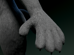 helene anthro wolf Modelo 3D