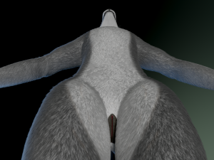 helene anthro wolf Modelo 3D