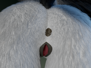 helene anthro wolf Modelo 3D