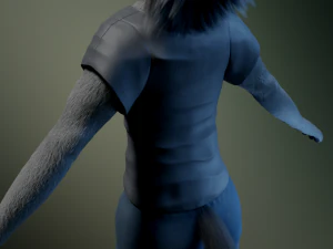 Helene antropolupo Modello 3D