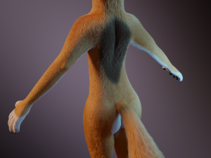 zoe anthro fox 3D 模型