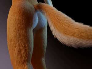 zoe anthro fox 3D Model