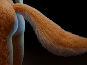 zoe anthro fox 3D 模型