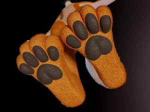 zoe anthro fox 3D 模型